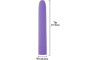 Eezy Pleezy Purple Vibrator