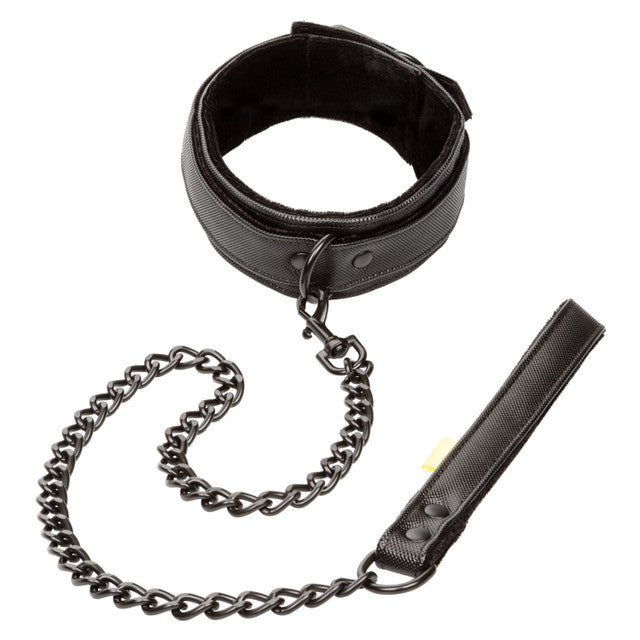 Boundless COLLAR WITH LEASH Black Vegan Leather Collar with Heavy Duty Chain