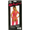 Pink Lipstick Lingerie FLIGHT RISK SHEER BODYSTOCKING