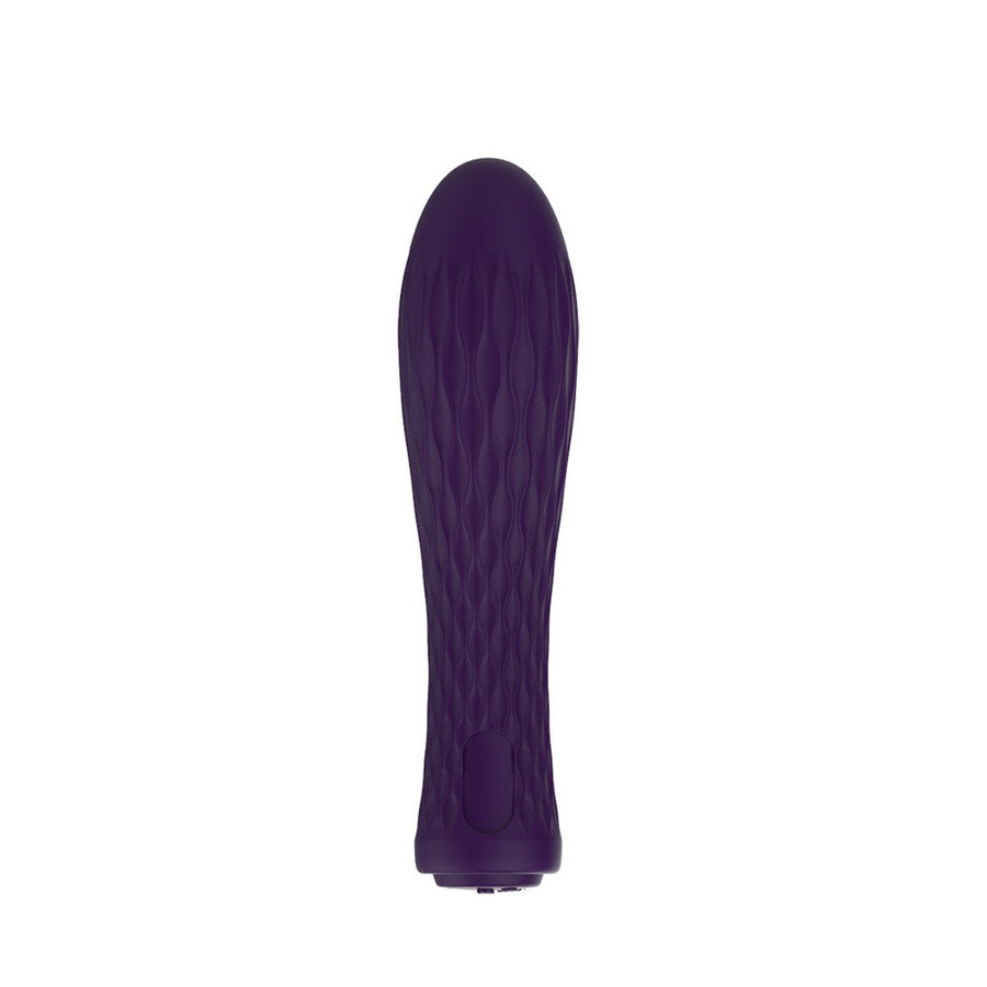 Nalone IAN Mini and Powerful Rechargeable 20 Function Bullet Vibrator 