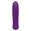 Kyst T.C.B TAKING CARE OF BUSINESS Mini Bullet Vibrator