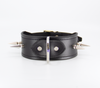 Love in Leather Unlined Black Leather Collar with Long Dog Spikes