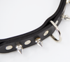 Love in Leather Unlined Black Leather Collar with Dog Spikes