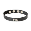 Spartacus Leather PIG Wordband Adjustable Collar 