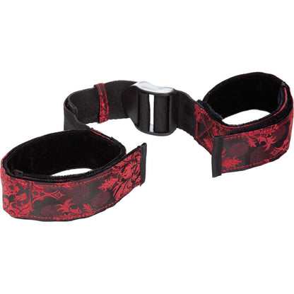 CalExotics Scandal Bicep Restraint 