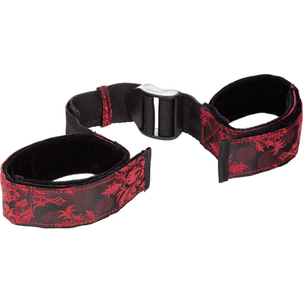 CalExotics Scandal Bicep Restraint