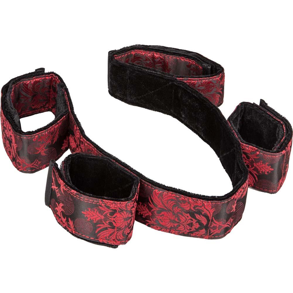 CalExotics Scandal Bondage Bar