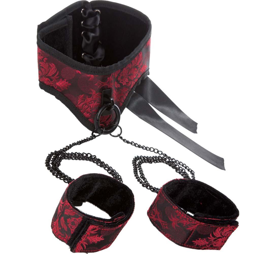 CalExotics Scandal Posture Collar with Cuffs
