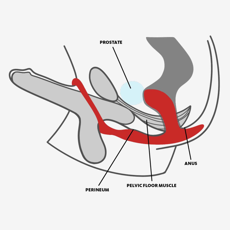 Fun Factory BOOTIE RING Silicone Prostate Butt Plug with Cock Ring