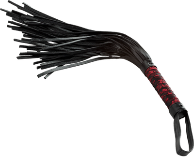 CalExotics Scandal Flogger