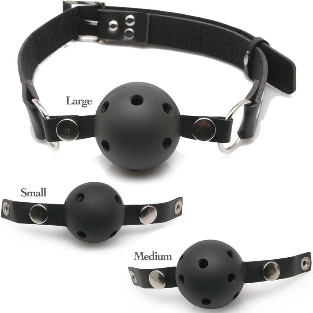 Pipedream Fetish Fantasy Series Ball Gag Training System Kit