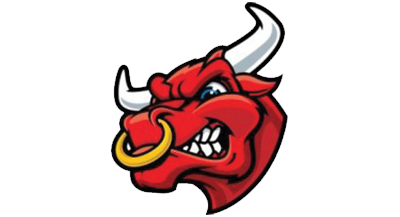 Wild Bull